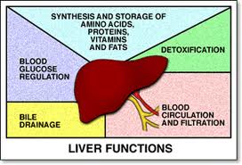 The chemical factory of your body - Natures Hidden Design